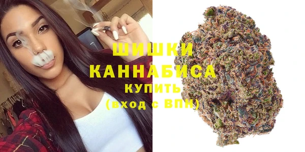 сатива Абаза