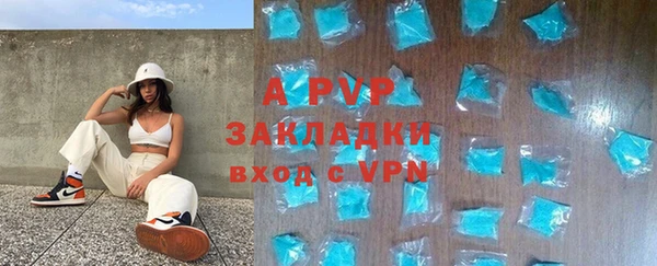сатива Абаза