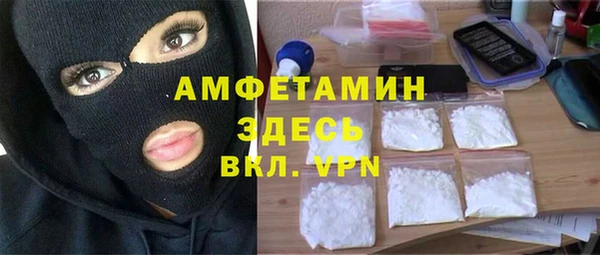 шишки Переславль-Залесский