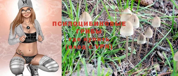 прущие крисы Алексеевка