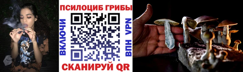 OMG сайт  Солигалич  Псилоцибиновые грибы Cubensis 
