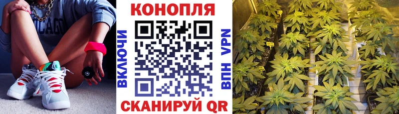 МАРИХУАНА планчик Солигалич